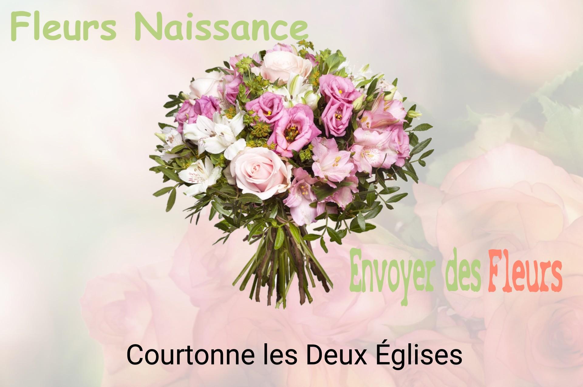 Bouquet de fleurs de naissance livré à Courtonne-les-Deux-Églises